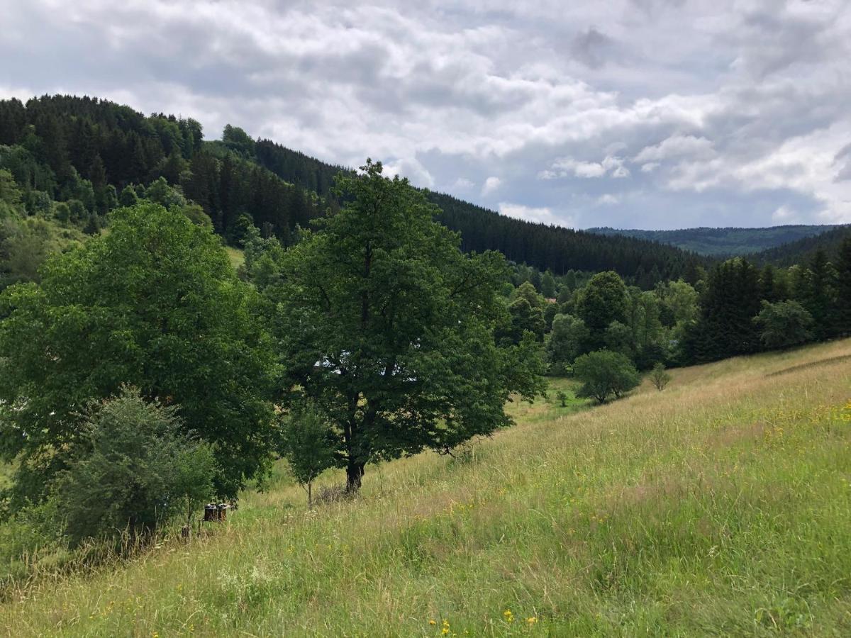 Chalupa U Šindelářů - Velké Karlovice Vila Exterior foto